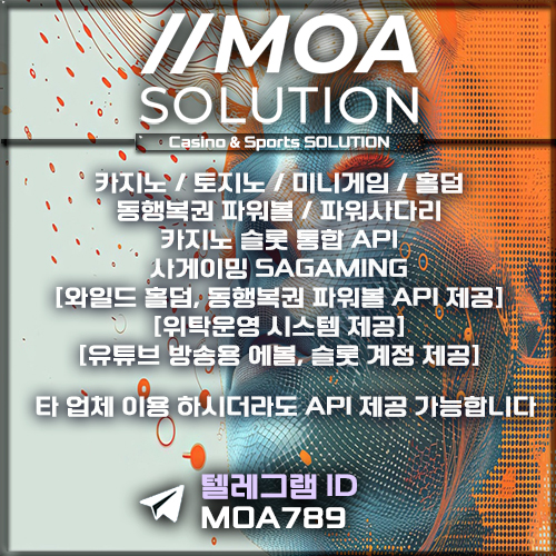 카지노솔루션.jpg