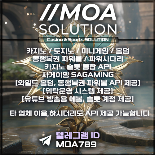 카지노솔루션.jpg