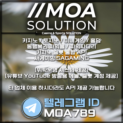 카지노솔루션.jpg